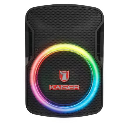 Bafle 15" 30,000 W PMPO con micrófono alámbrico