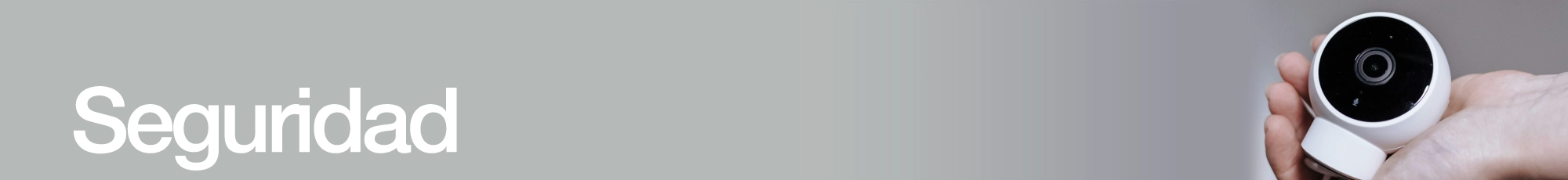 Seguridad